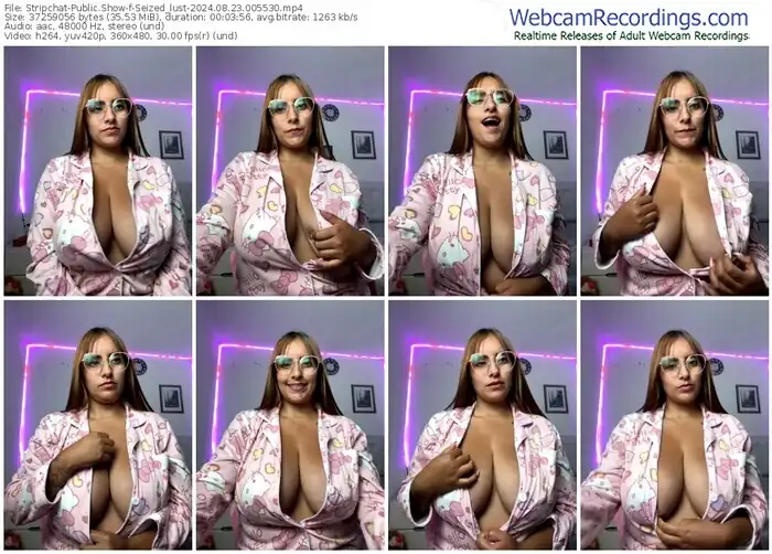 2024/08/23/stripchat-seized_lust-00-55-30