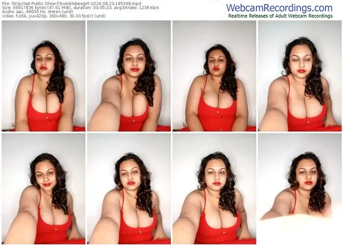 2024/08/23/stripchat-bumblebeegirl-18-53-48