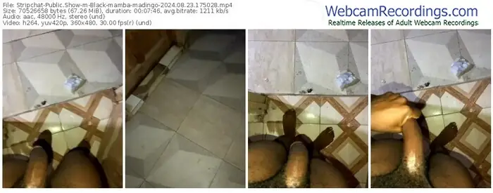 2024/08/23/stripchat-black-mamba-madingo-17-50-28