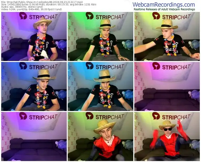 2024/08/23/stripchat-cookieboy88-21-21-17