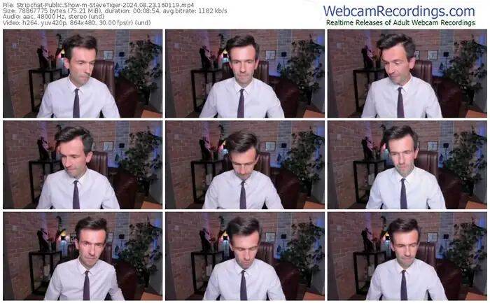 2024/08/23/stripchat-stevetiger-16-01-19