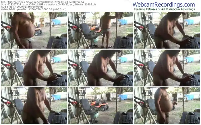 2024/08/23/stripchat-herbie010666-04-08-27