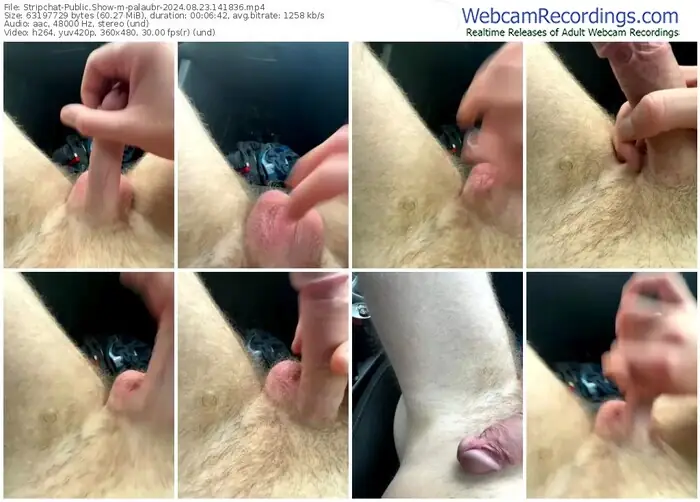 2024/08/23/stripchat-palaubr-14-18-36