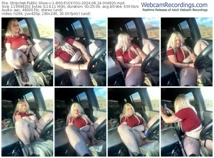 2024/08/24/stripchat-1-800-fuckyou-00-48-20