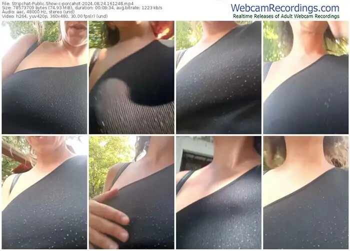 2024/08/24/stripchat-porcahot-16-12-48