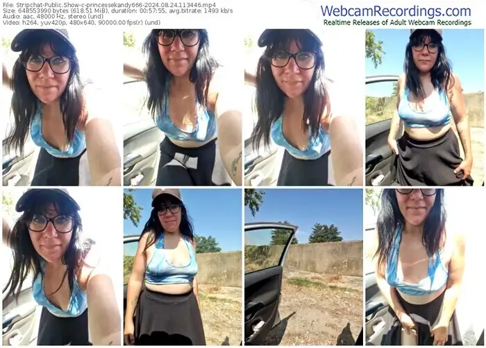 2024/08/24/stripchat-princessekandy666-11-34-46