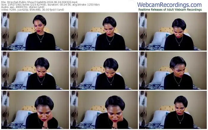 2024/08/24/stripchat-sadehn-00-43-20
