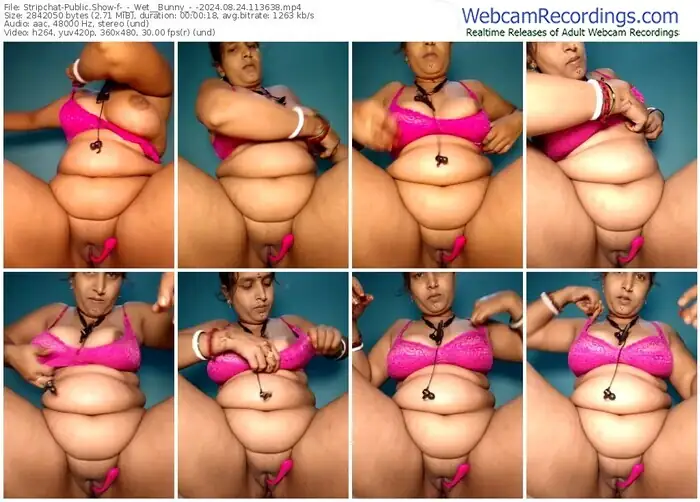 2024/08/24/stripchat-_-_wet__bunny_-_-11-36-38