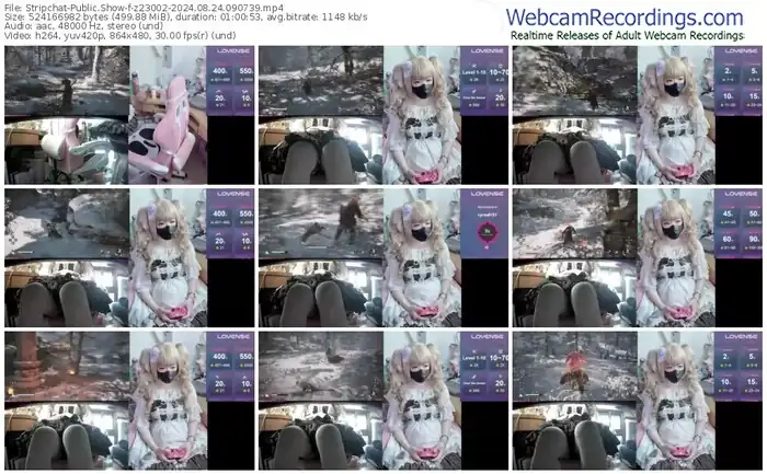 2024/08/24/stripchat-z23002-09-07-39