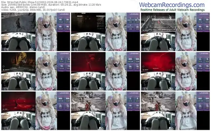 2024/08/24/stripchat-z23002-17-06-31