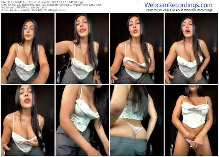 2024/08/25/stripchat-corinveil-17-41-18