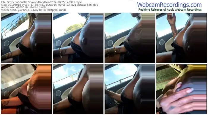 2024/08/25/stripchat-darkdea-14-33-21