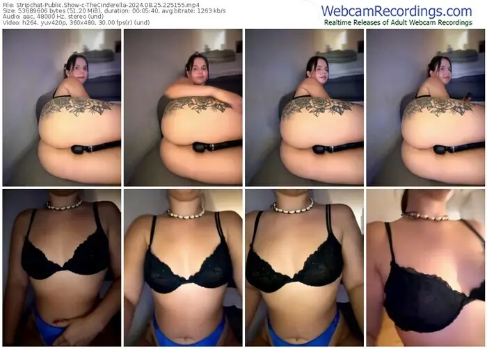 2024/08/25/stripchat-thecinderella-22-51-55