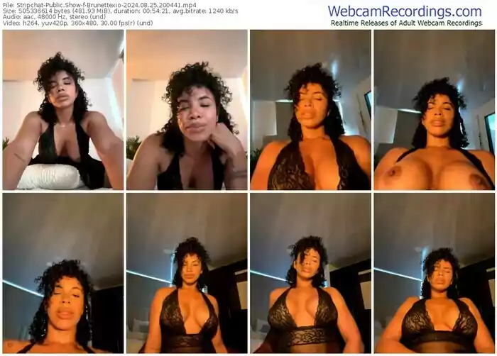 2024/08/25/stripchat-brunettexio-20-04-41