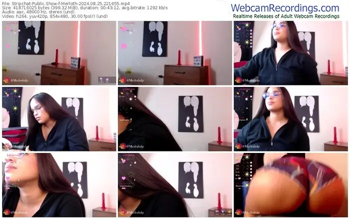 2024/08/25/stripchat-merloth-22-16-55