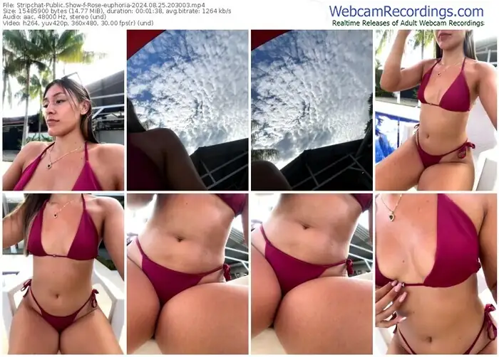 2024/08/25/stripchat-rose-euphoria-20-30-03