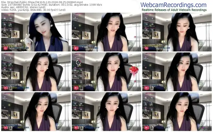 2024/08/25/stripchat-w-e-n-123-06-08-40