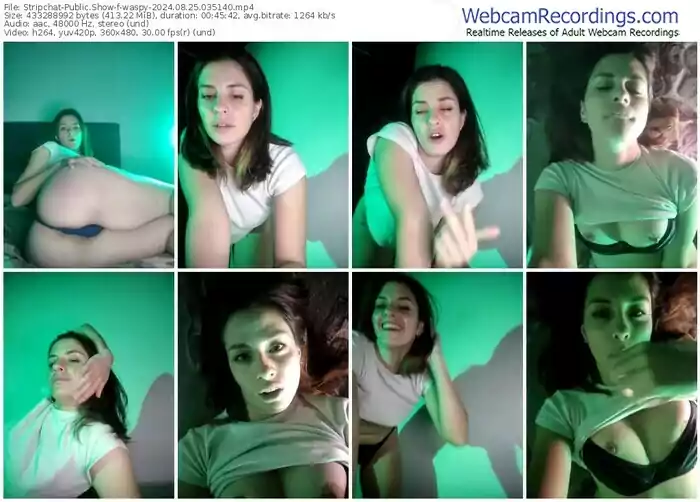 2024/08/25/stripchat-waspy-03-51-40