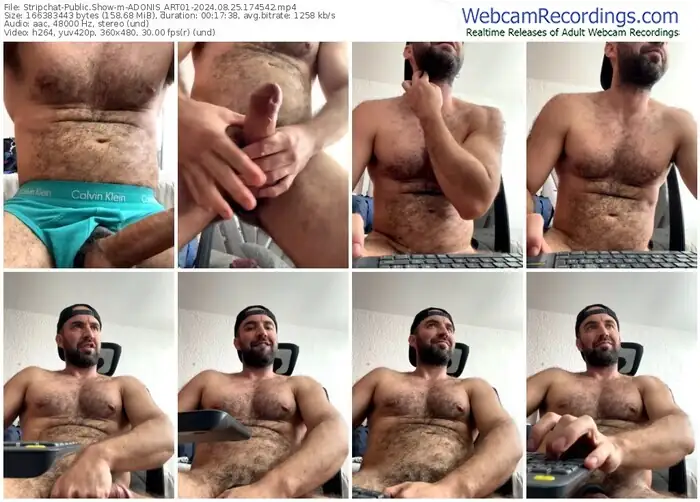 2024/08/25/stripchat-adonis_art01-17-45-42