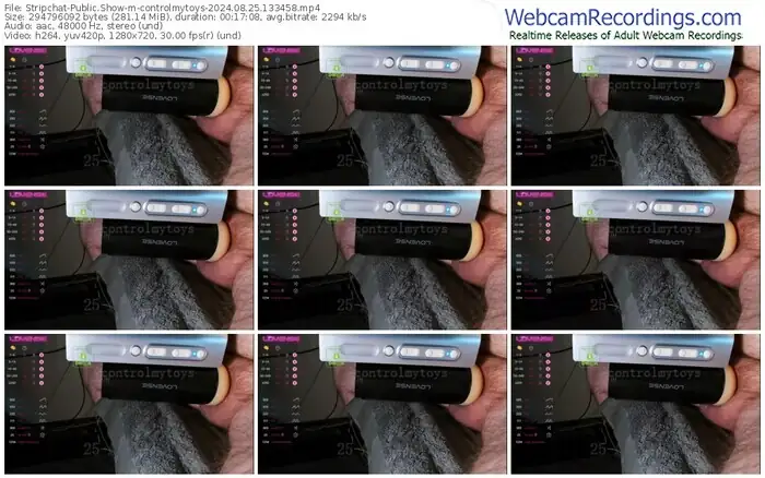2024/08/25/stripchat-controlmytoys-13-34-58