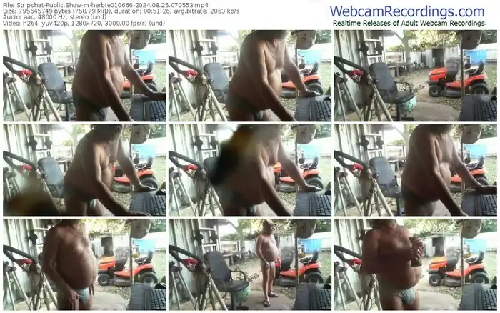 2024/08/25/stripchat-herbie010666-07-05-53