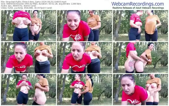 2024/08/25/stripchat-amy_samy-10-46-00