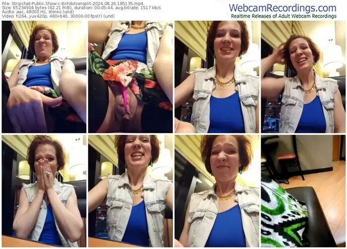 2024/08/26/stripchat-exhibitionsplit-18-51-35