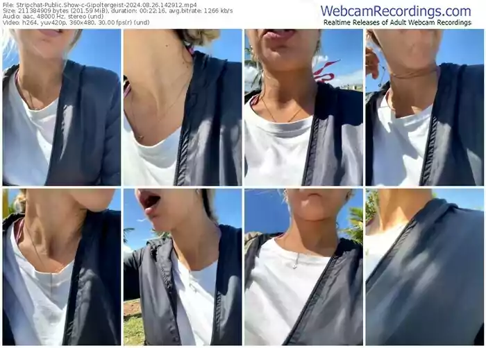 2024/08/26/stripchat-gipoltergeist-14-29-12