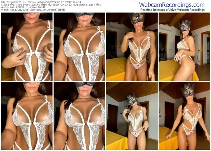 2024/08/26/stripchat-megan30-22-37-18
