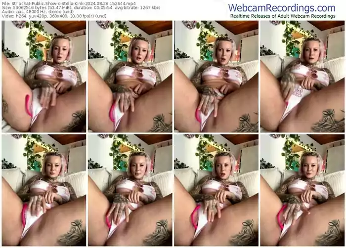 2024/08/26/stripchat-stella-kink-15-26-44
