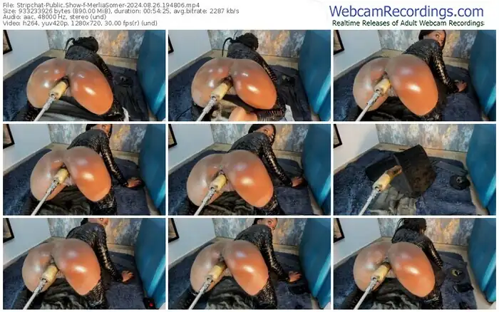 2024/08/26/stripchat-merliasomer-19-48-06