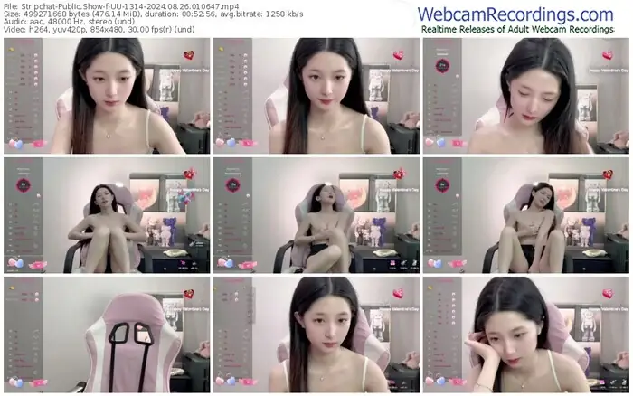 2024/08/26/stripchat-uu-1314-01-06-47