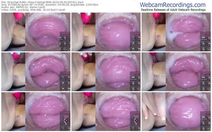 2024/08/26/stripchat-danigirl866-02-03-11