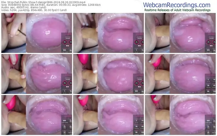 2024/08/26/stripchat-danigirl866-02-29-09
