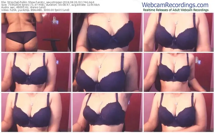 2024/08/26/stripchat-erotic_sexystripper-01-17-44