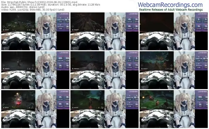 2024/08/26/stripchat-z23002-13-36-01