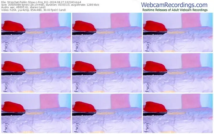 2024/08/27/stripchat-fire_911-16-22-43