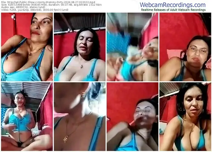 2024/08/27/stripchat-horny-mommy-dirty-02-20-22