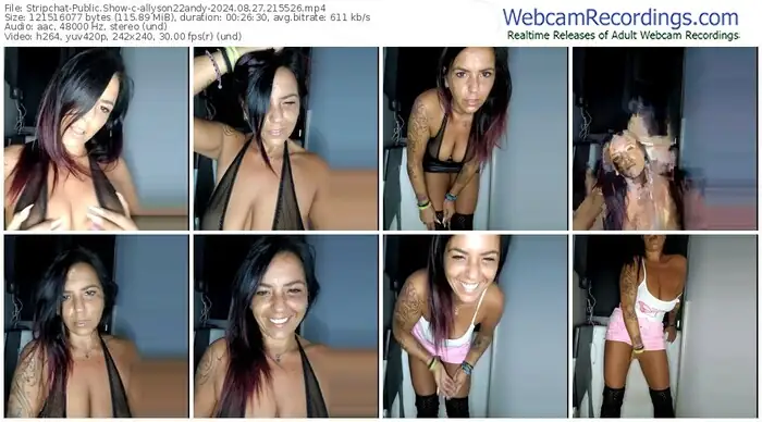 2024/08/27/stripchat-allyson22andy-21-55-26
