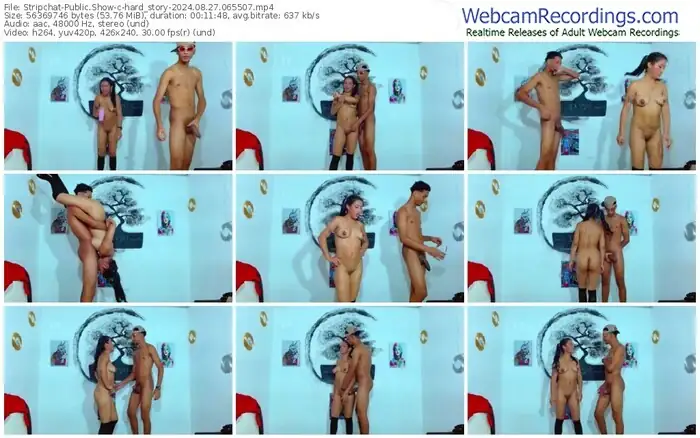 2024/08/27/stripchat-hard_story-06-55-07