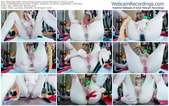 2024/08/27/stripchat-anal_queen_mona-19-21-11