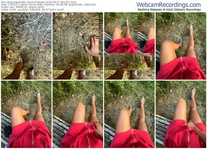 2024/08/27/stripchat-felinae-09-12-51