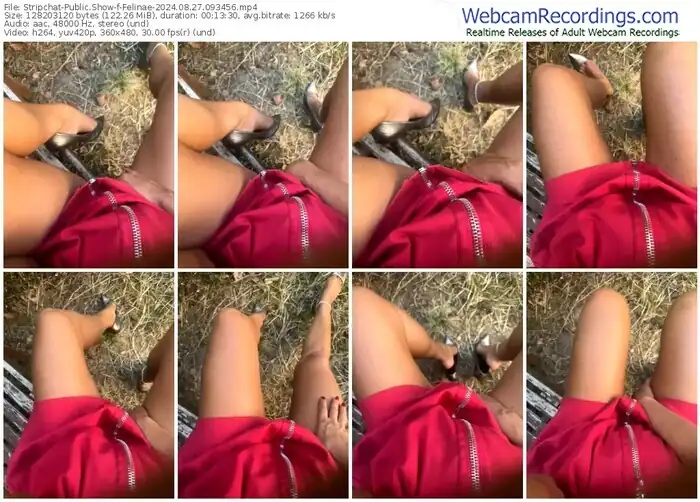 2024/08/27/stripchat-felinae-09-34-56