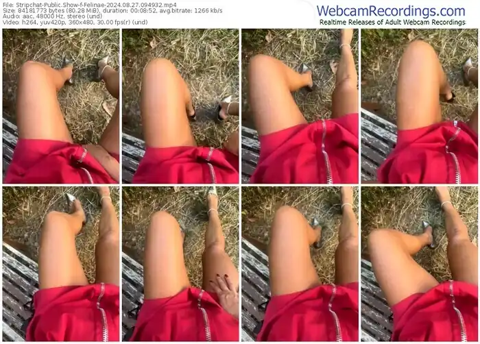 2024/08/27/stripchat-felinae-09-49-32