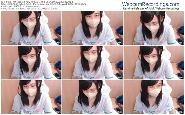 2024/08/27/stripchat-melon_opi-02-00-42