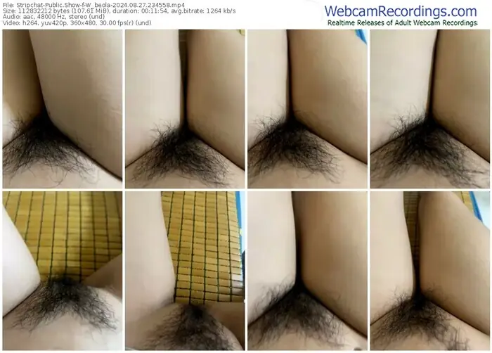 2024/08/27/stripchat-w_beola-23-45-58