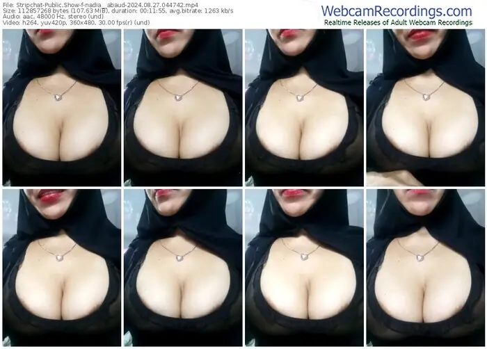 2024/08/27/stripchat-nadia__abaud-04-47-42