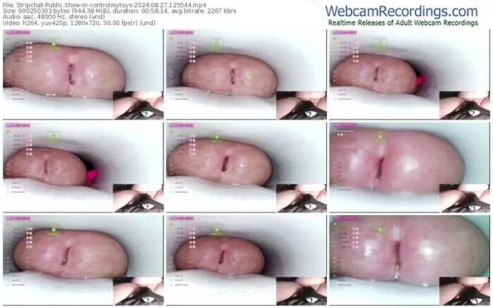 2024/08/27/stripchat-controlmytoys-12-55-44