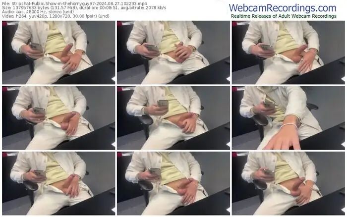 2024/08/27/stripchat-thehornyguy97-10-22-33