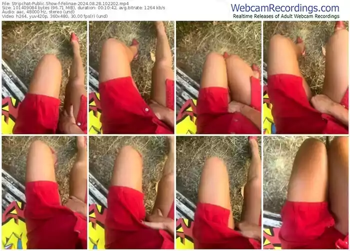 2024/08/28/stripchat-felinae-10-22-02